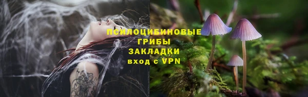 apvp Балахна