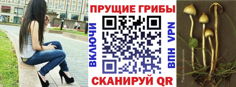 Галлюциногенные грибы ЛСД  купить  сайты  Будённовск 